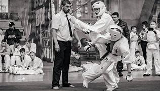 Image result for Karate People