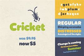 Image result for Cricket Font Types