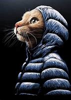Image result for Cool Cat Designs
