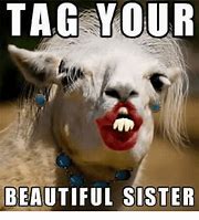 Image result for Funny Memes About Sisters