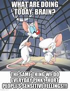 Image result for +Pinky and the Brain Sleepy MEMS