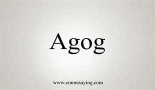 Image result for agog�a