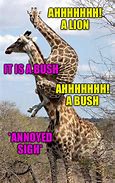 Image result for Elephant Giraaphe Meme