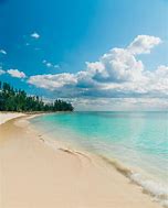 Image result for Bahamas Beach