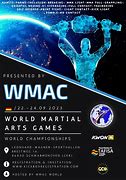 Image result for World Martial Arts Games