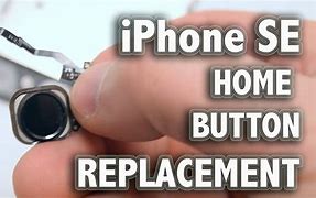 Image result for Button On the Back of iPhone SE