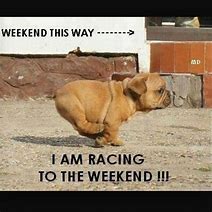 Image result for Baby Three-Day Weekend Meme