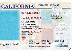 Image result for California ID Card Template Female