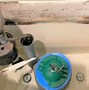 Image result for Push Button Toilet Parts