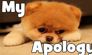 Image result for Amazing Apologies