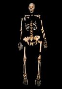 Image result for 8000 Years Old Human Body