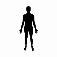 Image result for 6 Feet Human Being