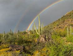 Image result for Arizona Desert Rainbow