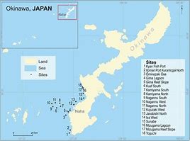 Image result for Okinawa City Map