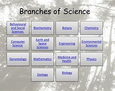 Image result for Branch of Science