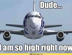 Image result for Funny Flight Memes