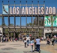 Image result for Los Angeles Zoo Push Pins