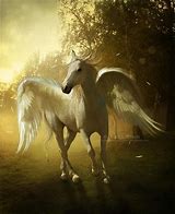 Image result for Pegasus Mythical Creature