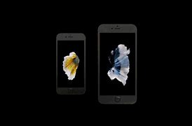 Image result for Camera 6s Plus Gia