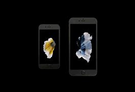 Image result for Actual Size of iPhone 6s Plus