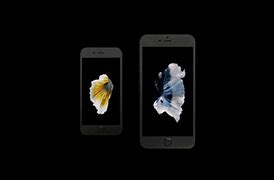 Image result for iPhone 6s Plus vs Samsung S6