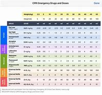 Image result for Recover Crash Drugs CPR Chart Veterinary