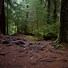 Image result for How Big Is Amazon Rainforest