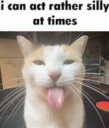 Image result for Left Out Cat Meme