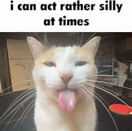 Image result for Cat Going He He He