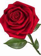 Image result for Rose Line Drawing Clip Art