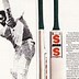 Image result for Nike Cricket Bat