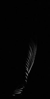 Image result for Black and White iPhone 8 Plus Wallpaper