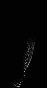 Image result for iPhone 8 Plus Black and White Screen Background