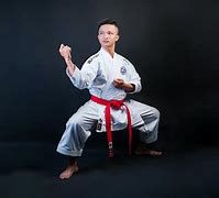 Image result for Fighting Stances Martial Arts
