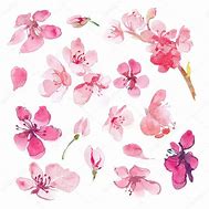 Image result for Sakura Watercolor