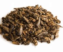 Image result for Drying Crickets