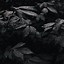 Image result for Black Wallpaper iOS 6 for iPhone 12 Mini