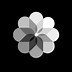 Image result for White and Black Settings Icon iPhone