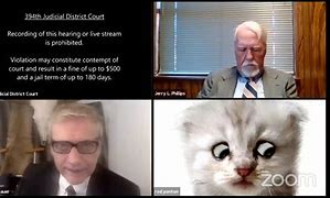 Image result for Lawyer Cat Meme