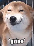 Image result for Shiba Inu Smiling GIF