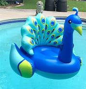 Image result for Awesome Pool Toys