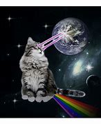 Image result for Space Cat Laser Eyes
