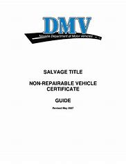 Image result for Nevada Salvage Title