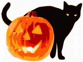 Image result for Mean Halloween Memes Cat