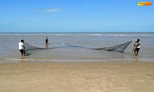Image result for Seine Fishing