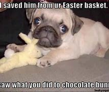 Image result for Easter Dog Meme