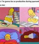 Image result for Funny Cartoon Memes About Life