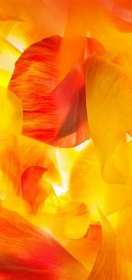 Image result for Yellow iPhone Background
