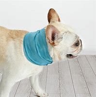 Image result for Dog Cooling Towel