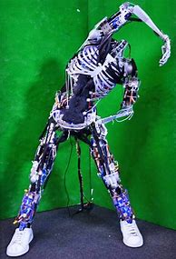 Image result for Robot Skeleton Anime